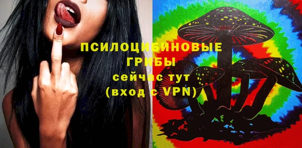 кокс Белокуриха