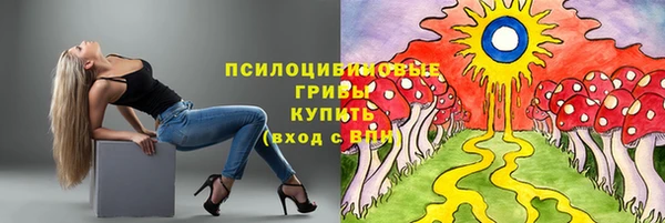 кокс Белокуриха
