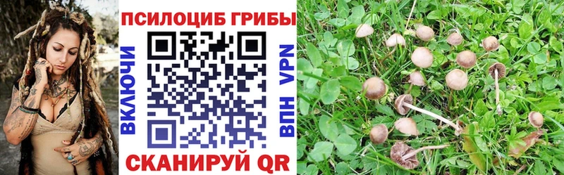 hydra сайт  Кстово  Галлюциногенные грибы Magic Shrooms 