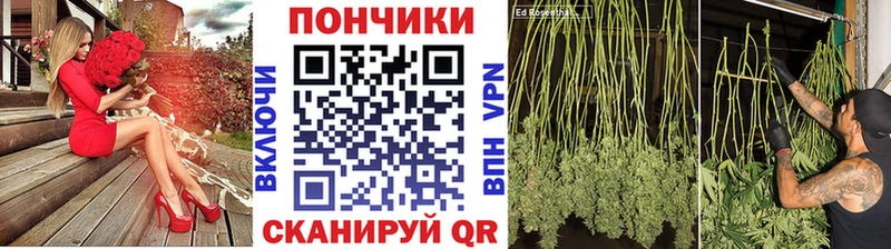 Каннабис VHQ  Кстово 